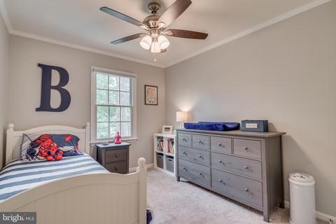 7204 Duck Ct, Springfield, VA 22152 photo 28