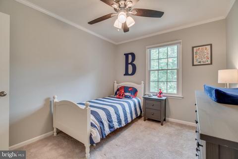 7204 Duck Ct, Springfield, VA 22152 photo 27