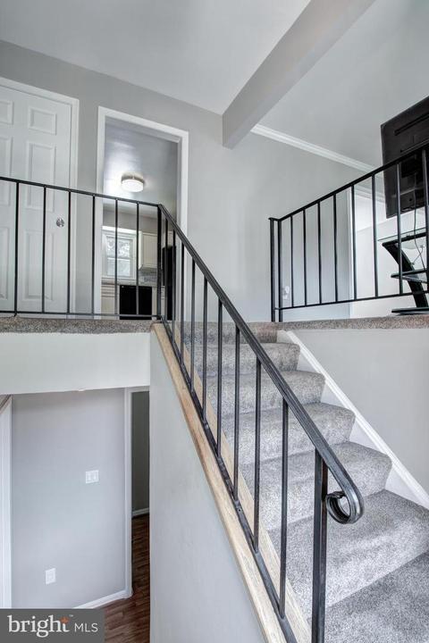 5783 Heming Ave, Springfield, VA 22151 photo 28