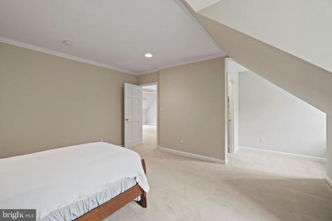 909 Whann Ave, Mclean, VA 22101 photo 49
