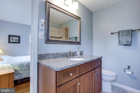 1225 Daleview Dr, Mclean, VA 22102 photo 38