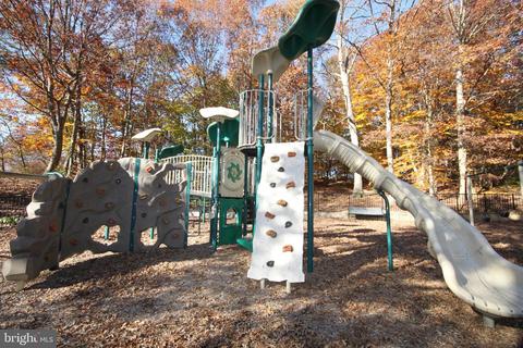 8533 Gambel Oak Dr, Springfield, VA 22153 photo 36