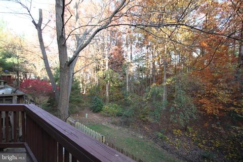8533 Gambel Oak Dr, Springfield, VA 22153 photo 34