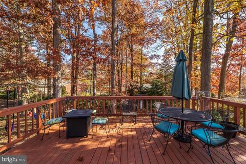 5709 Dreyfuss St, Springfield, VA 22151 photo 46
