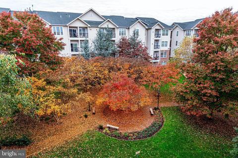1600 Spring Gate Dr #2401, Mclean, VA 22102 photo 1