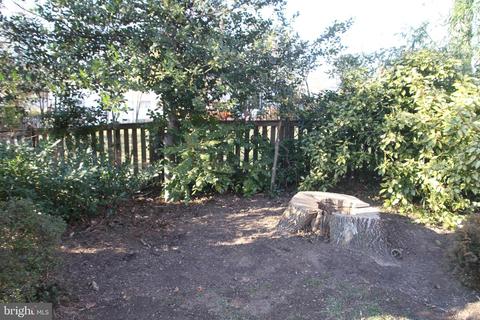 5225 Ravensworth Rd, Springfield, VA 22151 photo 15