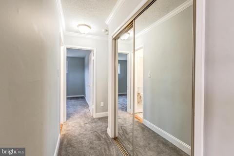 7303 Dickenson St, Springfield, VA 22150 photo 37
