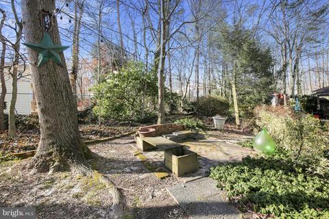 6823 Reynard Dr, Springfield, VA 22152 photo 93