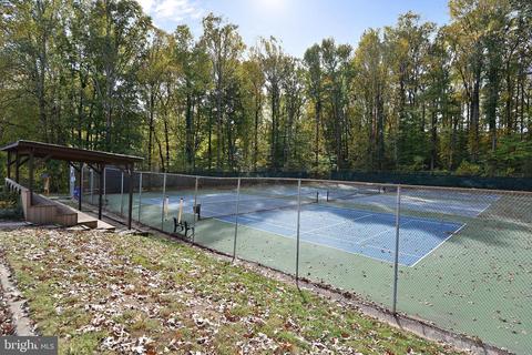 6823 Reynard Dr, Springfield, VA 22152 photo 117