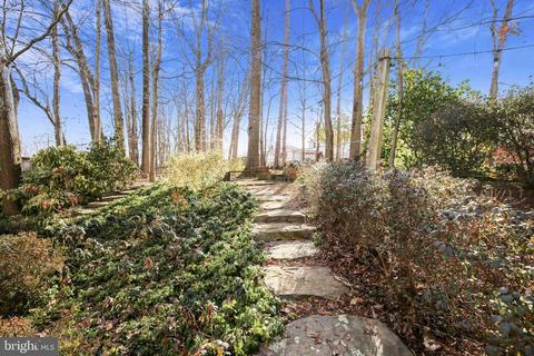 6823 Reynard Dr, Springfield, VA 22152 photo 90