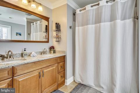 6823 Reynard Dr, Springfield, VA 22152 photo 70