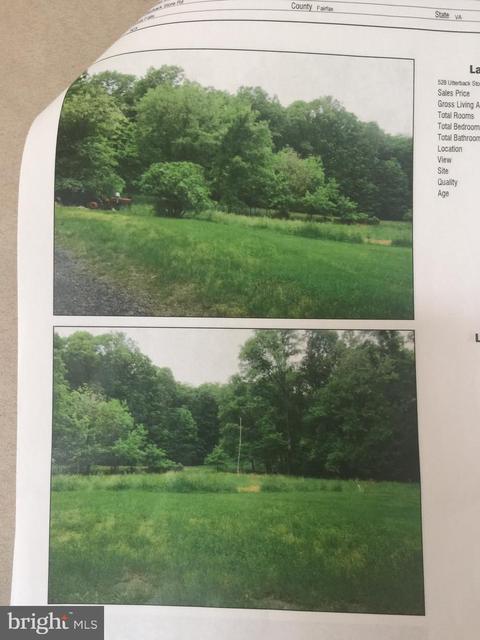 528 Utterback Store Rd, Great Falls, VA 22066 photo 1