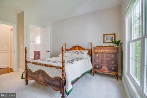 6602 Beverly Ave, Mclean, VA 22101 photo 36