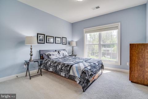 6602 Beverly Ave, Mclean, VA 22101 photo 38