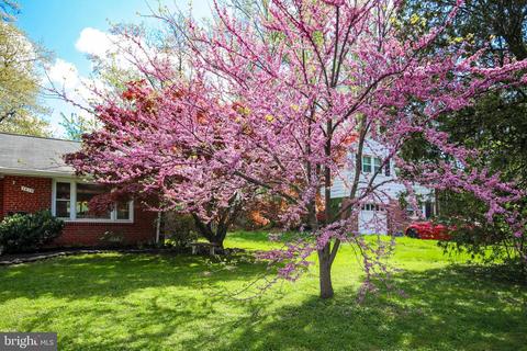 7415 Dunston St, Springfield, VA 22151 photo 46