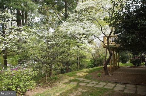 8120 Dunsinane Ct, Mclean, VA 22102 photo 47