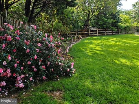 8015 Agin Ct, Mclean, VA 22102 photo 49