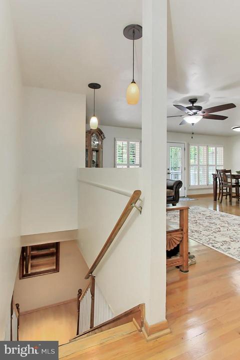 6323 Alberta St, Springfield, VA 22152 photo 28