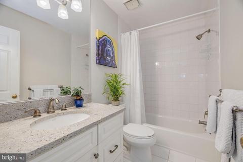 7256 Evans Mill Rd, Mclean, VA 22101 photo 28