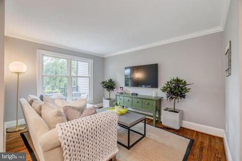 7256 Evans Mill Rd, Mclean, VA 22101 photo 11