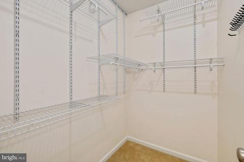 7260 Linden Tree Ln, Springfield, VA 22152 photo 19