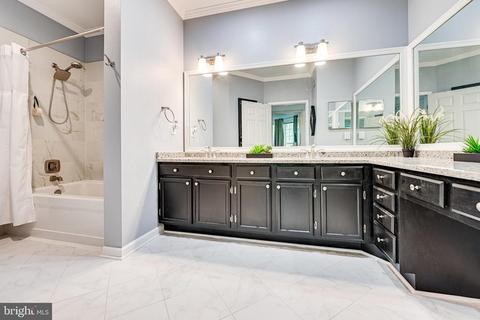 1600 Spring Gate Dr #2305, Mclean, VA 22102 photo 17