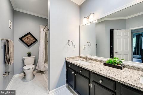 1600 Spring Gate Dr #2305, Mclean, VA 22102 photo 19