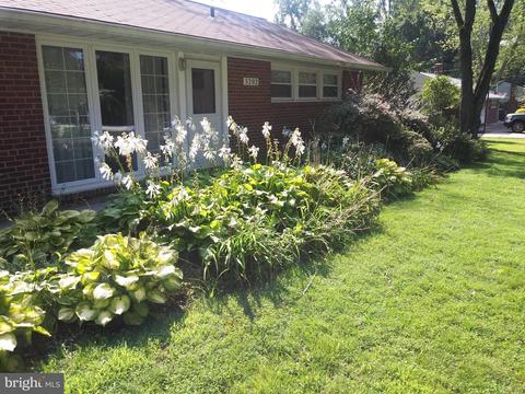 5202 Kipling St, Springfield, VA 22151 photo 31