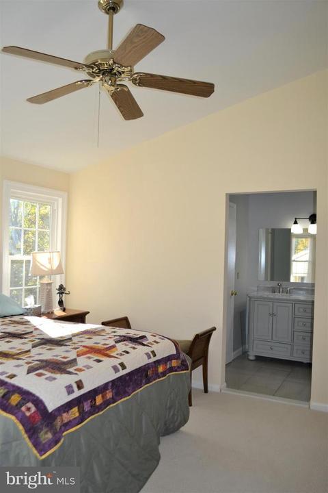 7817 Wintercress Ln, Springfield, VA 22152 photo 22