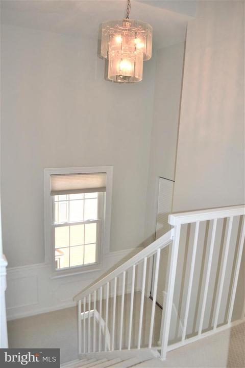 7817 Wintercress Ln, Springfield, VA 22152 photo 15