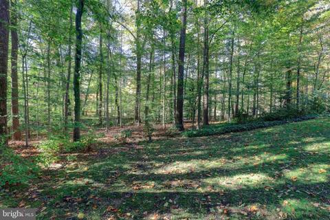 6609 Jill Ct, Mclean, VA 22101 photo 53