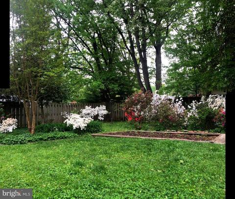5213 Light St, Springfield, VA 22151 photo 3