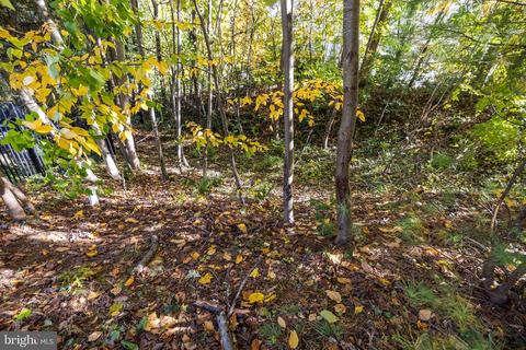 1120 Swinks Ml, Mclean, VA 22102 photo 15
