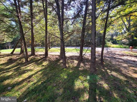 1120 Swinks Ml, Mclean, VA 22102 photo 5