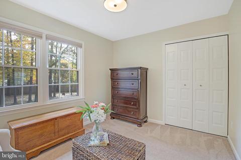 8721 Etta Dr, Springfield, VA 22152 photo 25