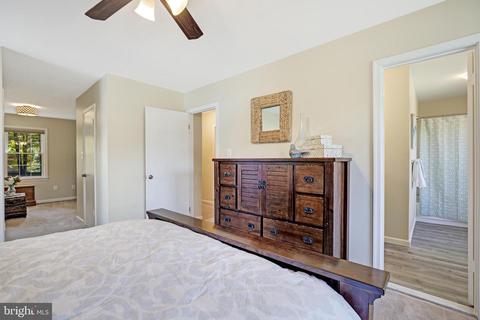 8721 Etta Dr, Springfield, VA 22152 photo 22