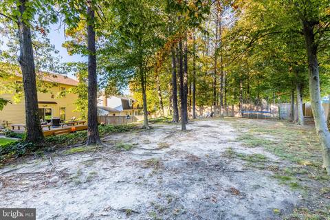 8721 Etta Dr, Springfield, VA 22152 photo 44