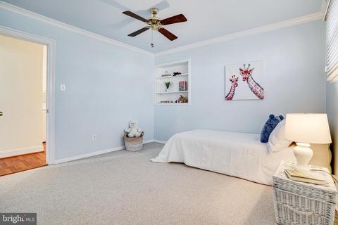 7603 Jervis St, Springfield, VA 22151 photo 57