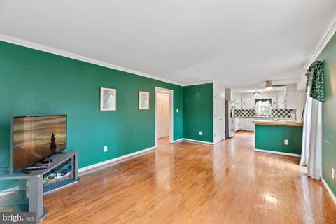 8712 Etta Dr, Springfield, VA 22152 photo 20