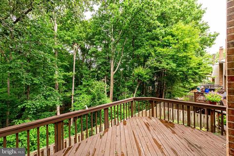 7831 Painted Daisy Dr, Springfield, VA 22152 photo 56