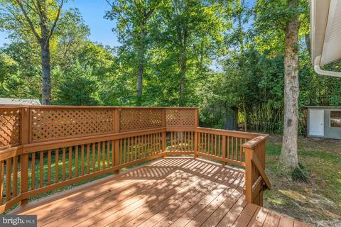 6815 Reynard Dr, Springfield, VA 22152 photo 37