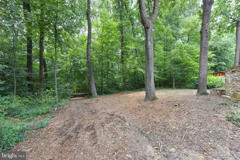 8919 Arley Dr, Springfield, VA 22153 photo 40