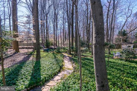 6603 Tina Ln, Mclean, VA 22101 photo 5