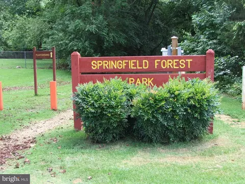 6613 Hackberry St, Springfield, VA 22150 photo 24