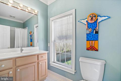 1598 Maddux Ln, Mclean, VA 22101 photo 45