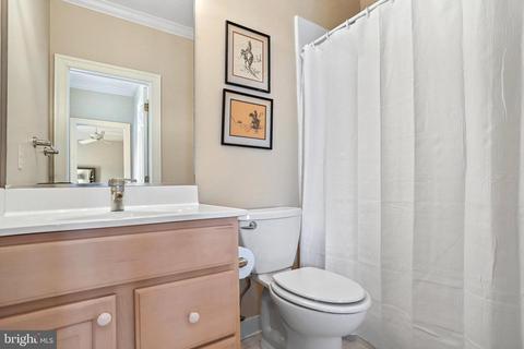 1598 Maddux Ln, Mclean, VA 22101 photo 42