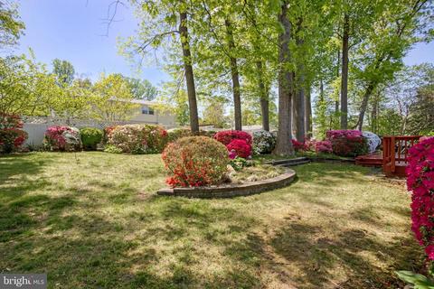 8135 Marcy Ave, Springfield, VA 22152 photo 4