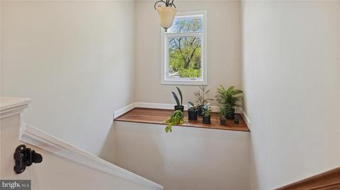 1741 Fairview Ave, Mclean, VA 22101 photo 36
