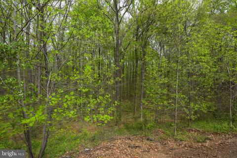 8844 Creekside Way, Springfield, VA 22153 photo 43