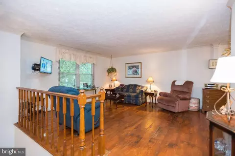 8482 Magic Tree Ct, Springfield, VA 22153 photo 3